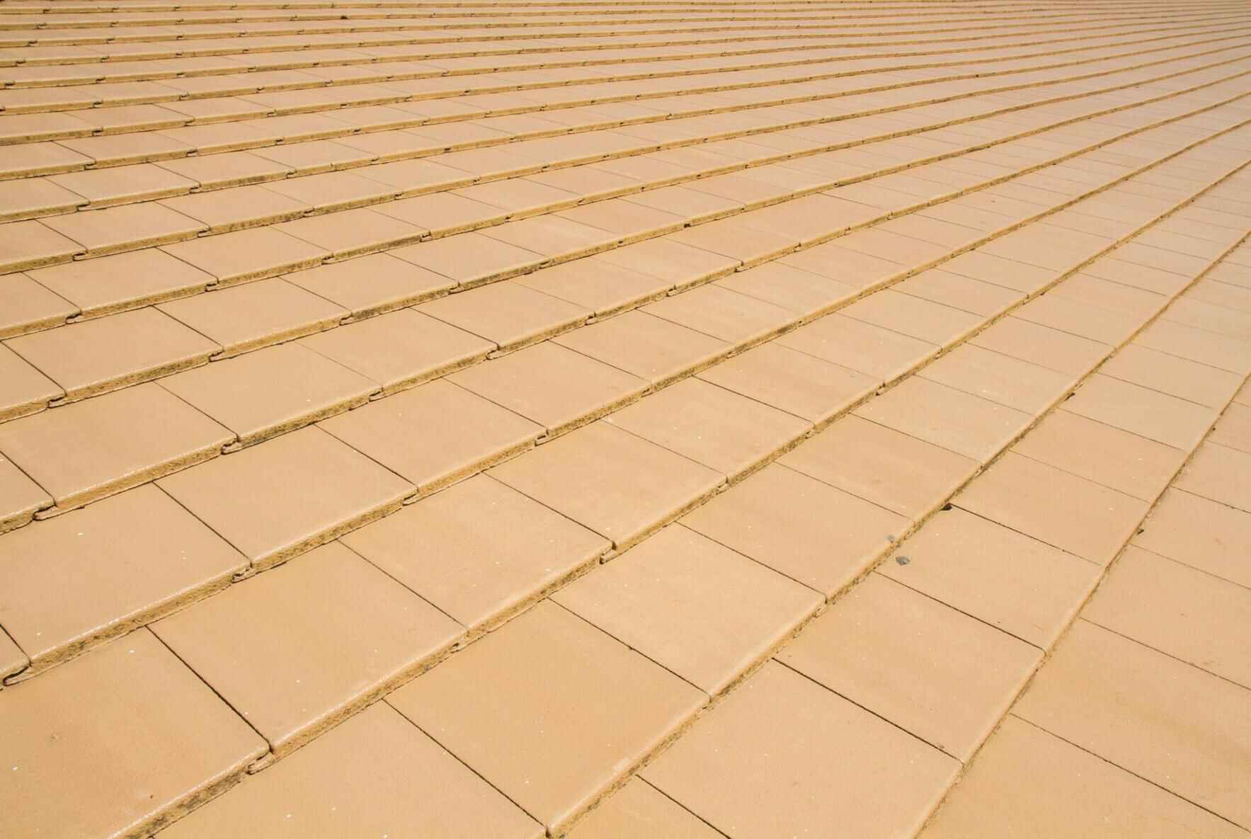 Second Chance Needs a Roof! image