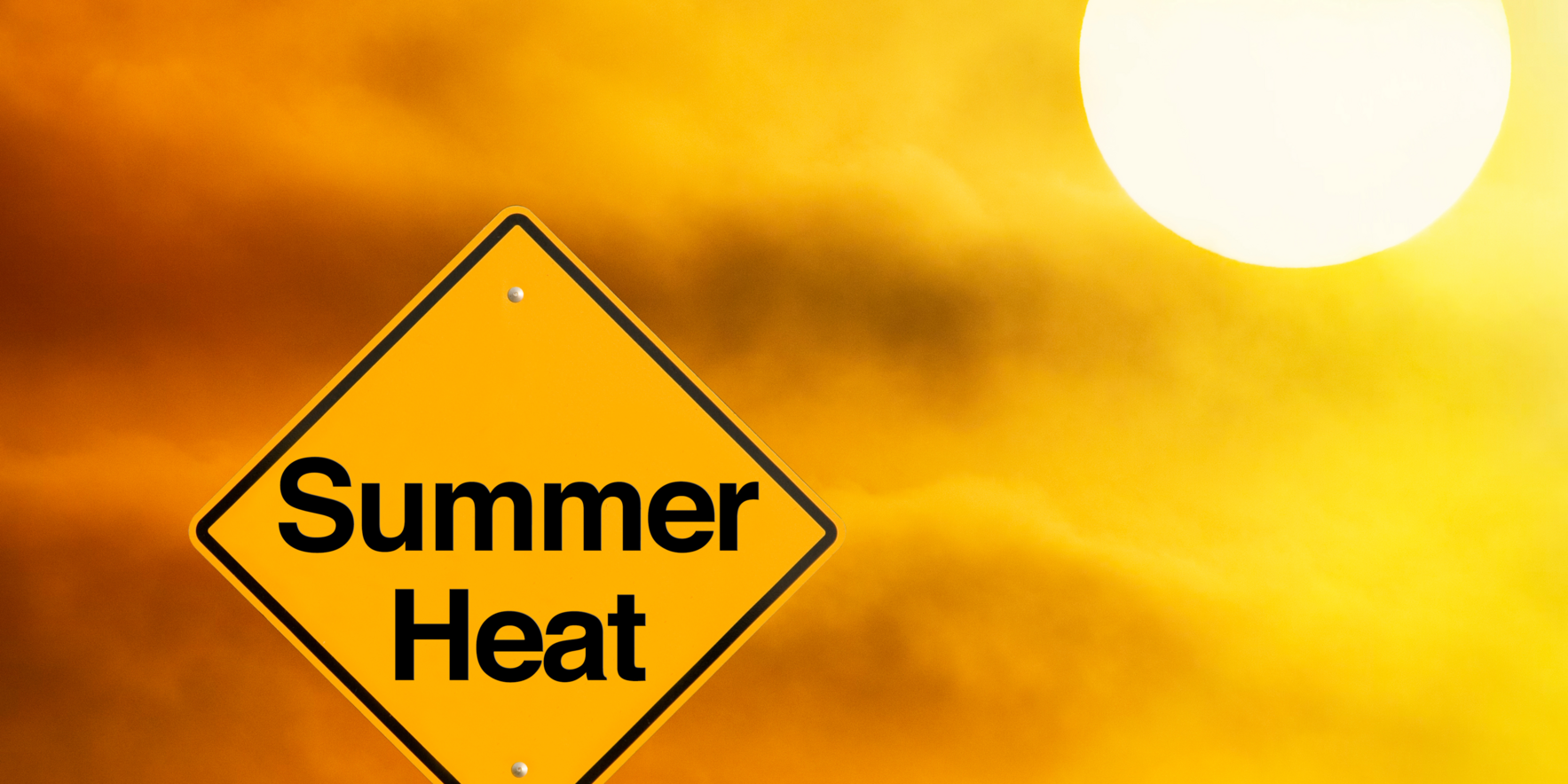 Donate now to help keep our Red Lion residents cool. image