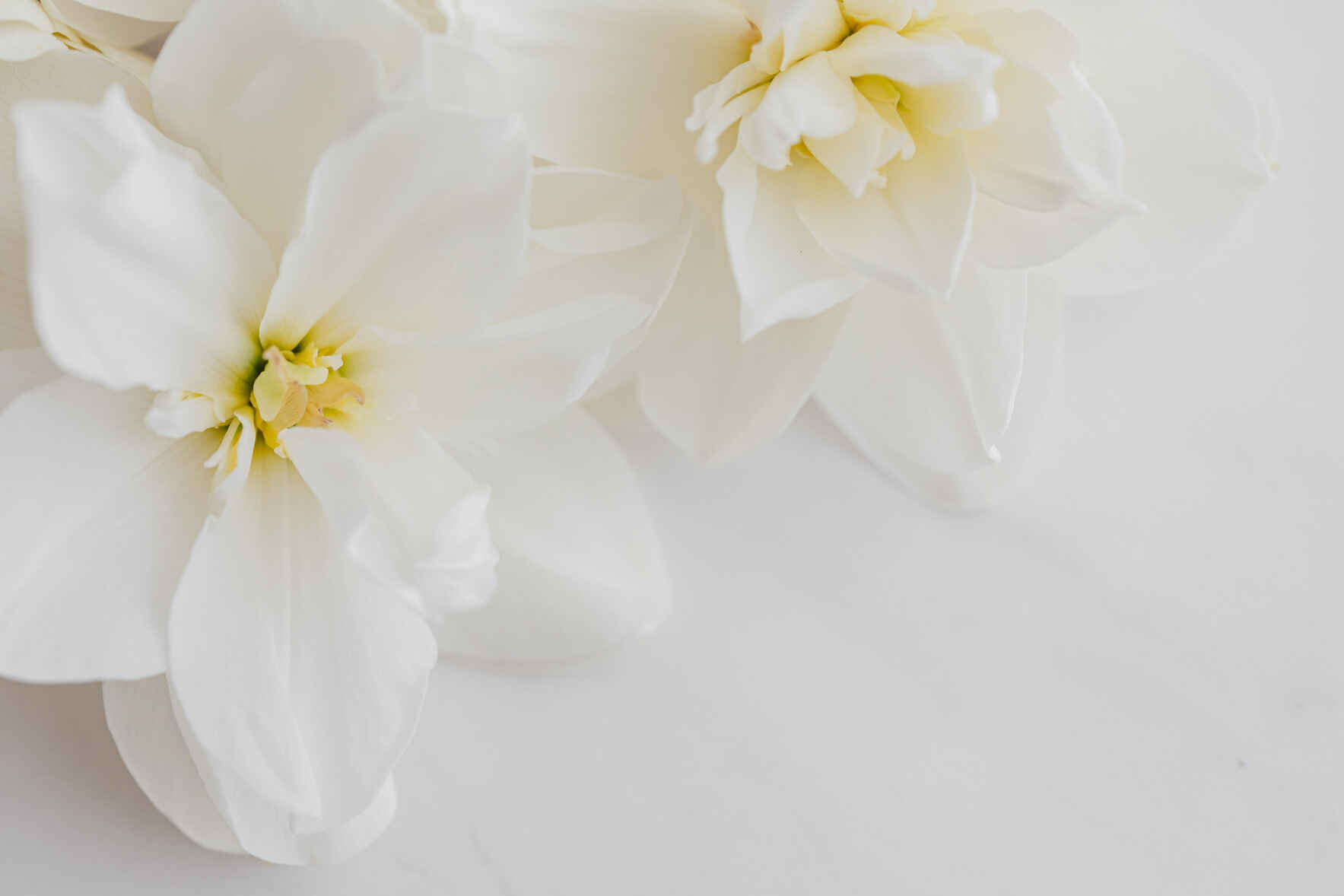 Donate in remembrance of Jacki Crandell image