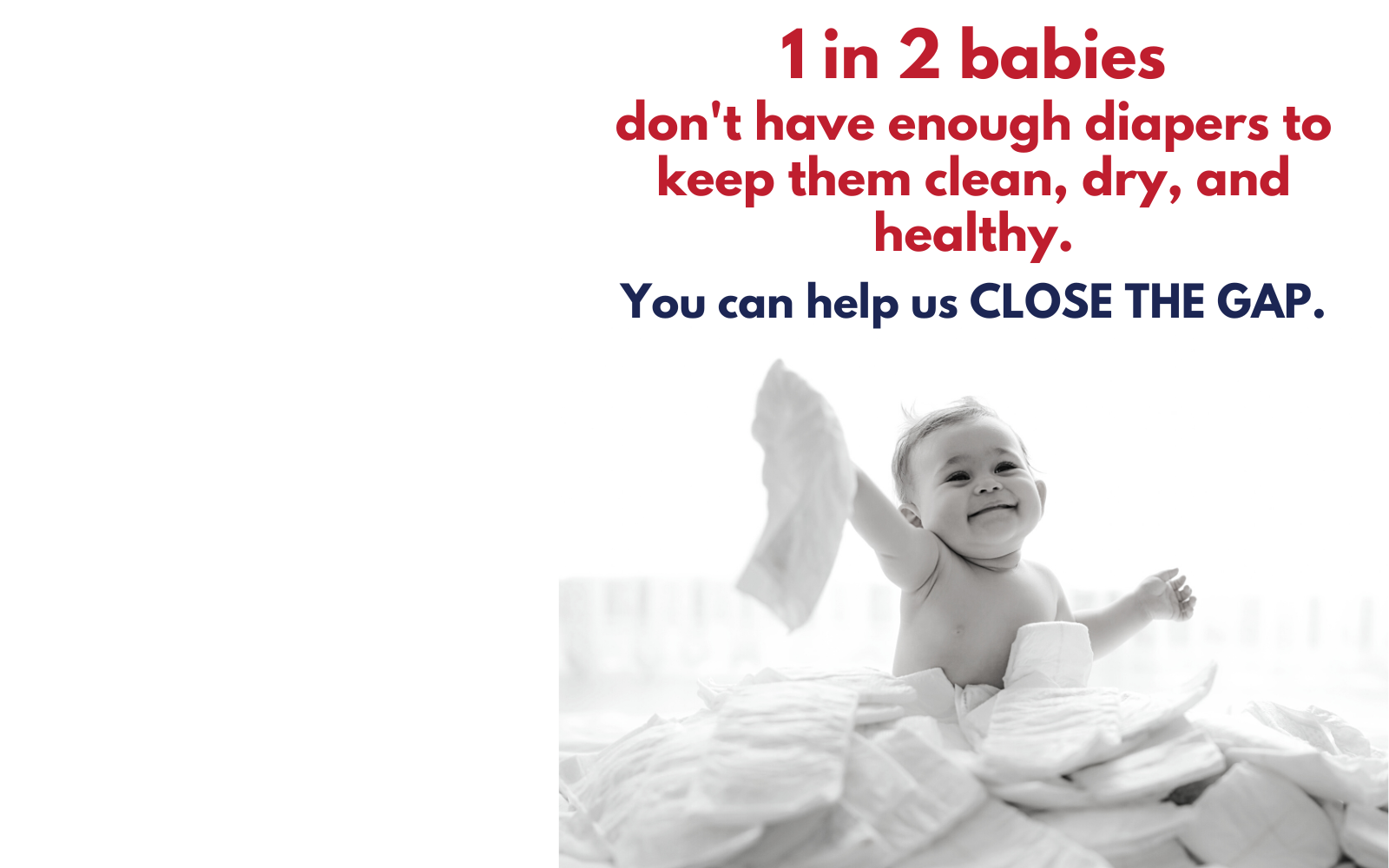 DIAPER BANK OF NORTH CAROLINA - Closing the Gap