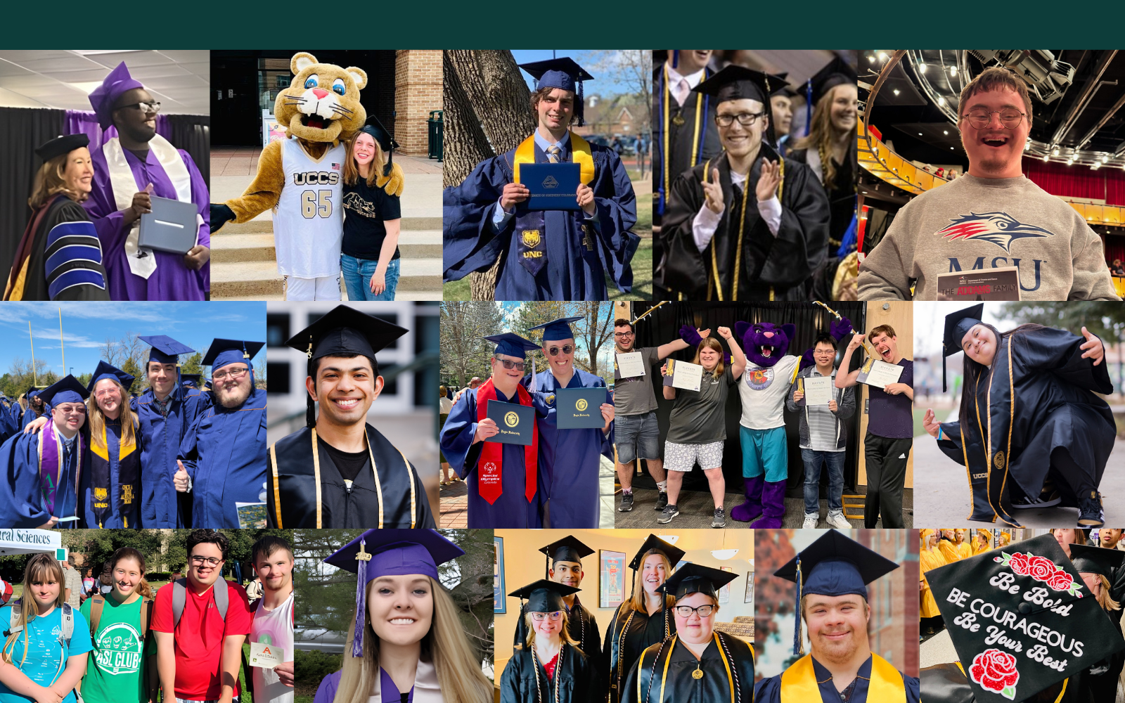 Make a Contribution Today! image