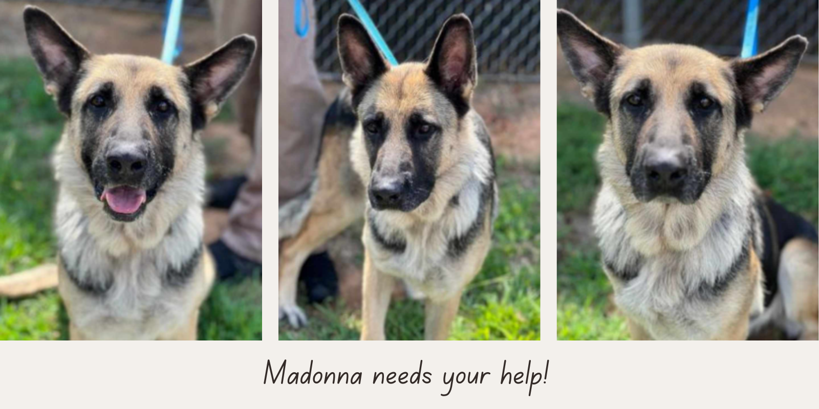 Help Madonna Heal image