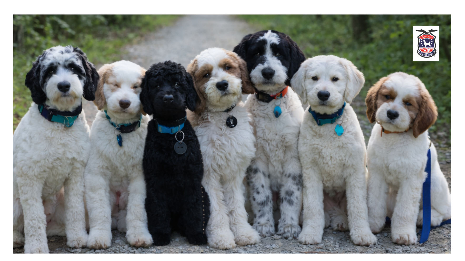 Make a difference in a Hero's life today! image