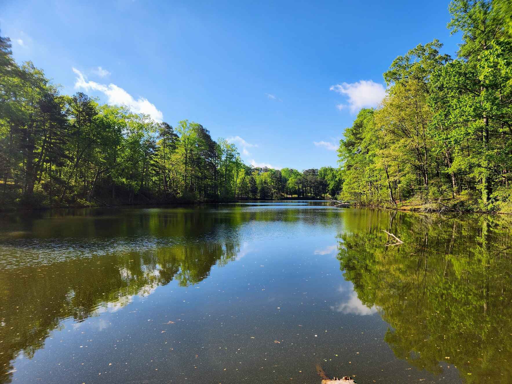 Donate to preserve, protect, and enhance this park to promote equitable access and enjoyment for all. image