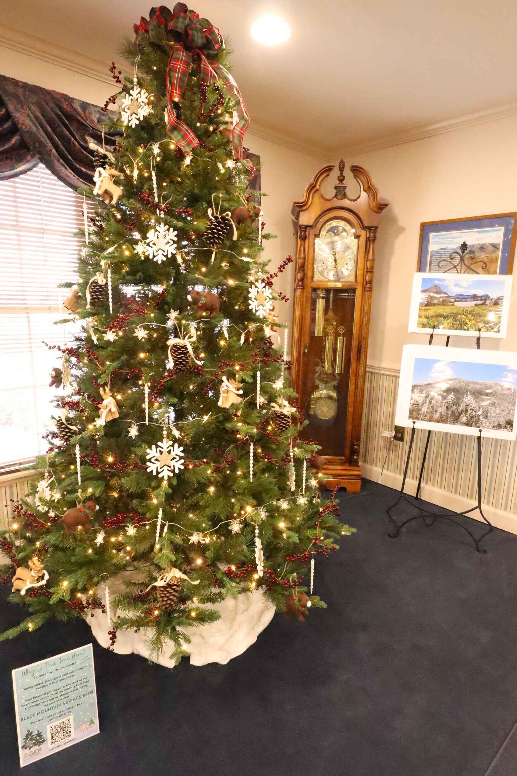 Deck The Trees - Black Mountain Savings Bank image