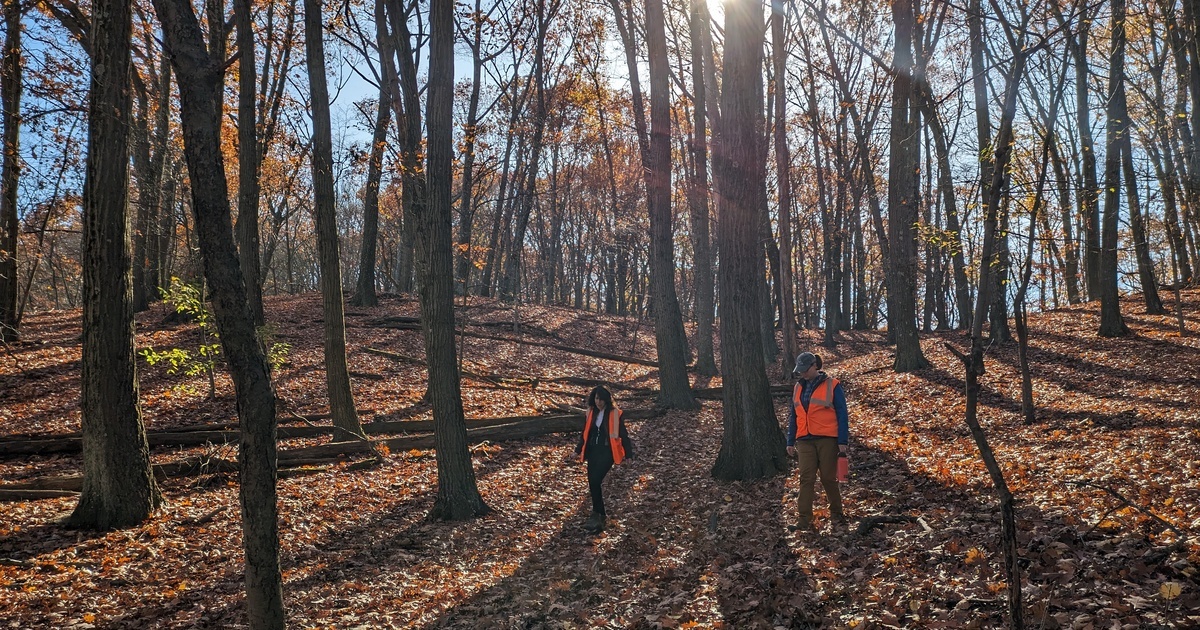 Allegheny Land Trust Ross Conservation Project