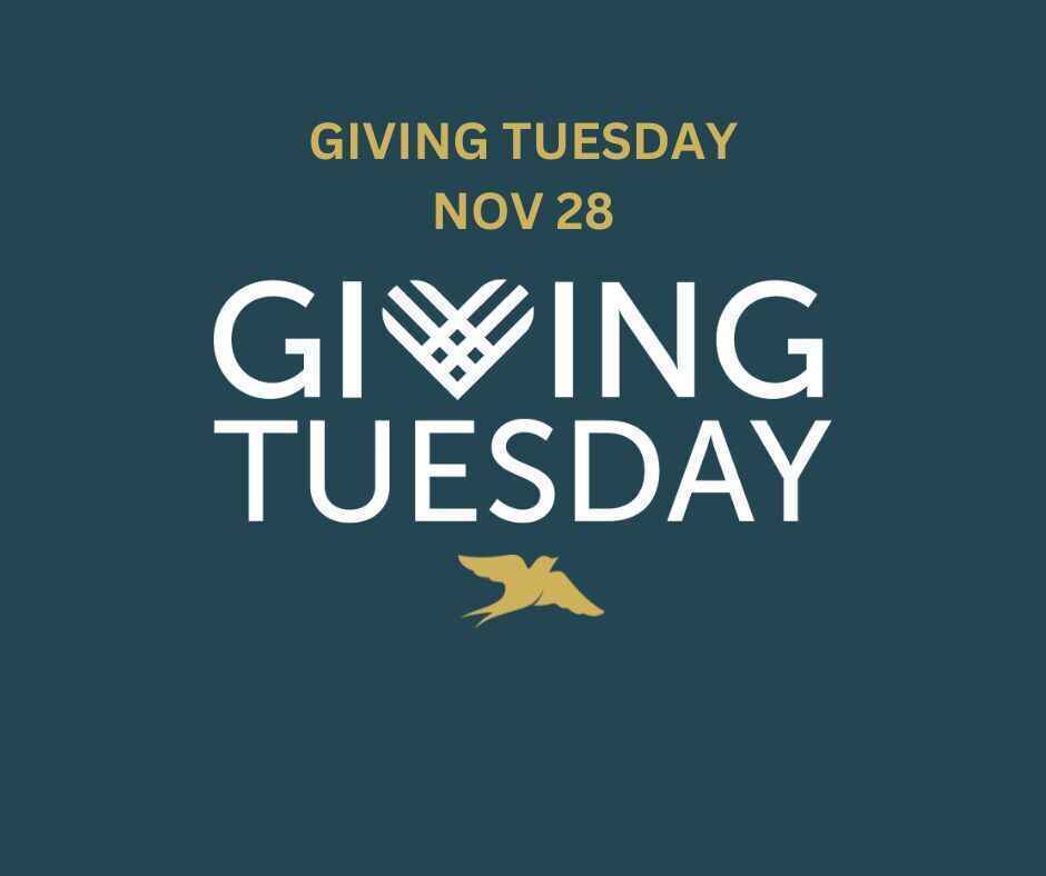 Giving Tuesday is November 28 -- Your gift will be MATCHED by a generous donor! image