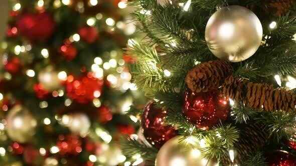Join us in making a very Merry Christmas for Survivors! image