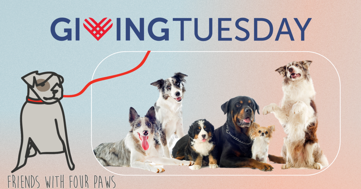 FRIENDS WITH FOUR PAWS FOUNDATION OF THE CHICKASHA ANIMAL WELFARE DI