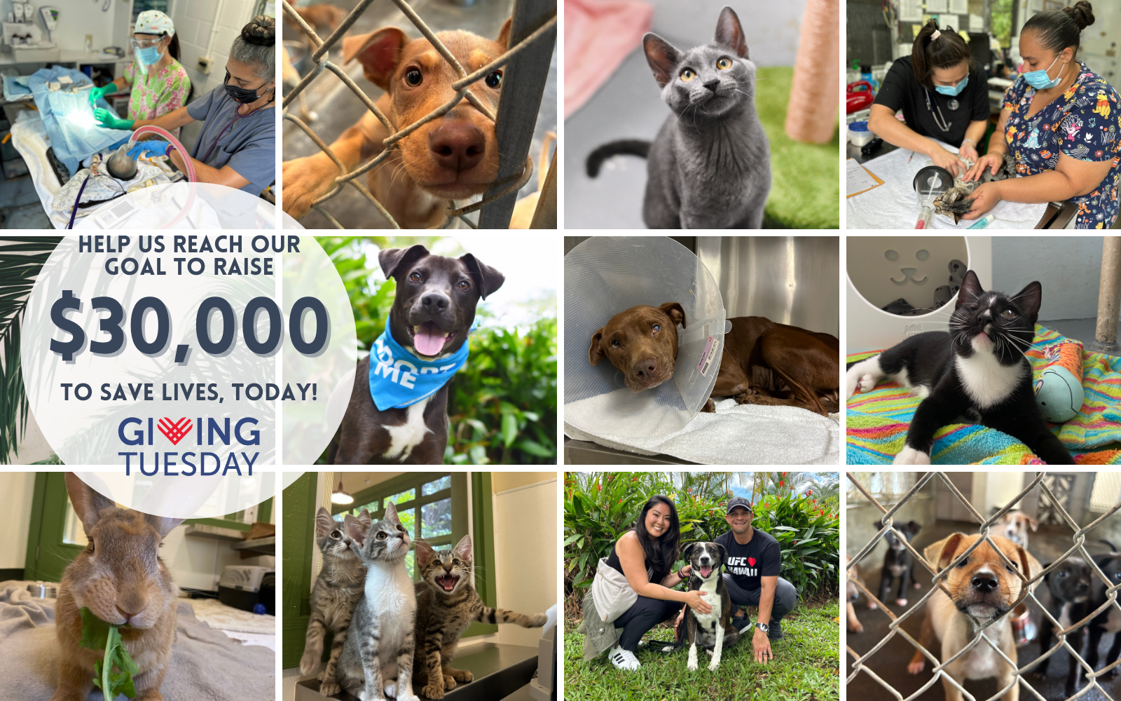 Partner with us to save lives ...  image