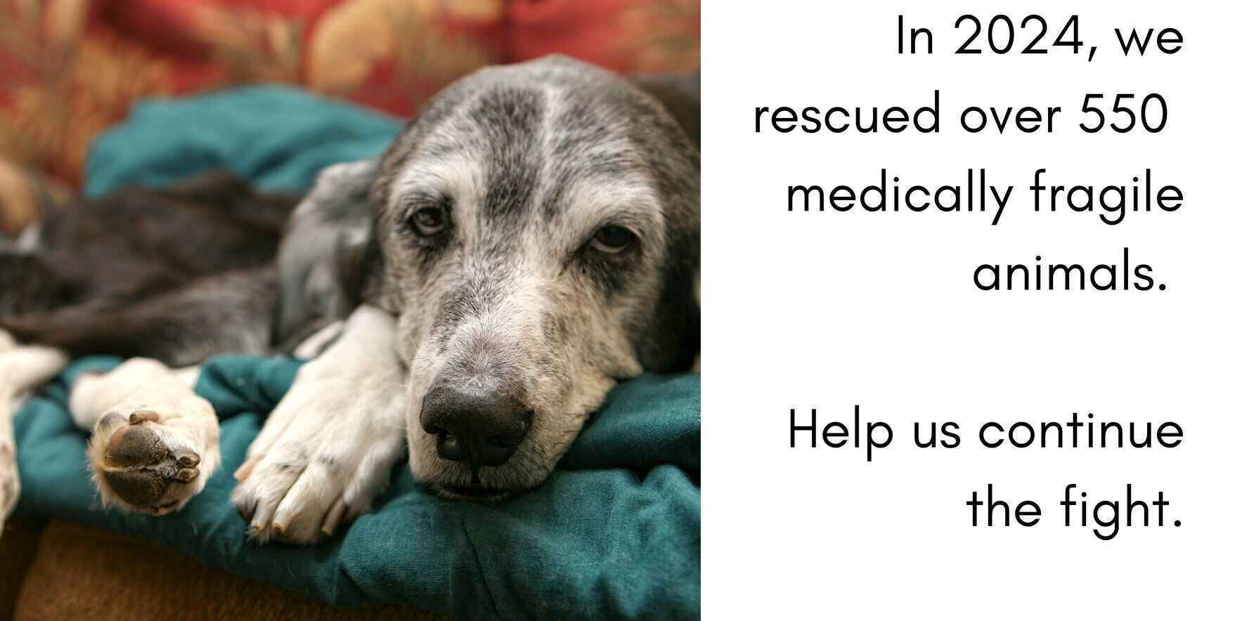 Help us continue to fight image