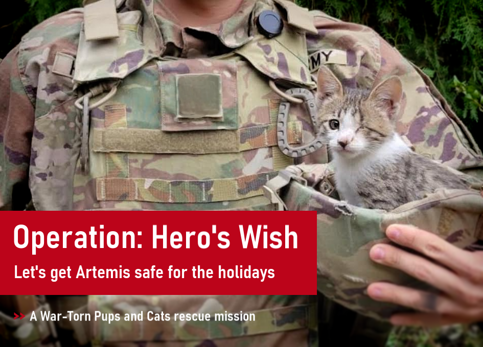 Artemis needs help to escape to safety image