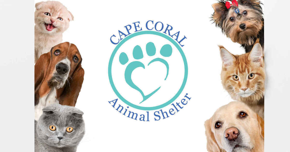 Cape Coral Animal Shelter Corporation Cape Coral Animal Shelter