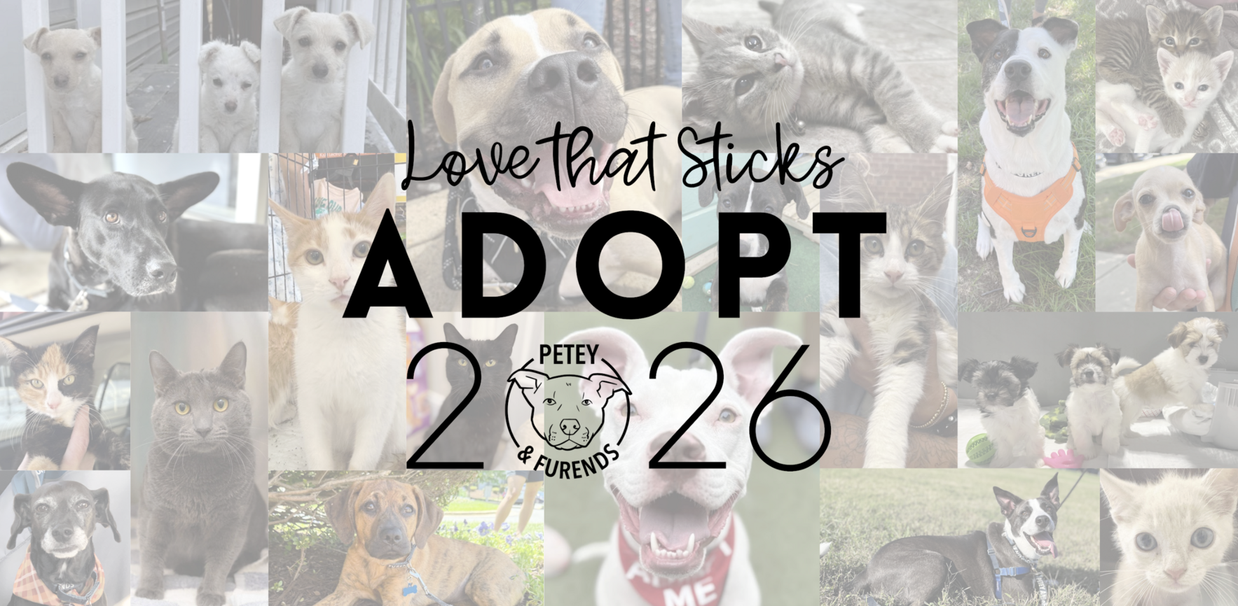 Petey and Furends Inc image