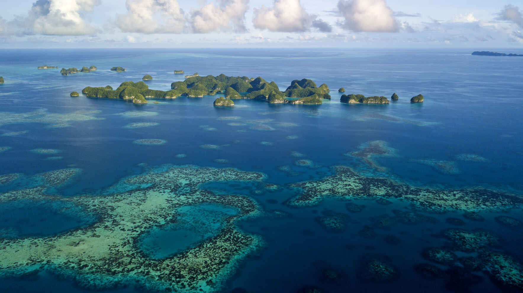 Support Mission Blue Hope Spots! image