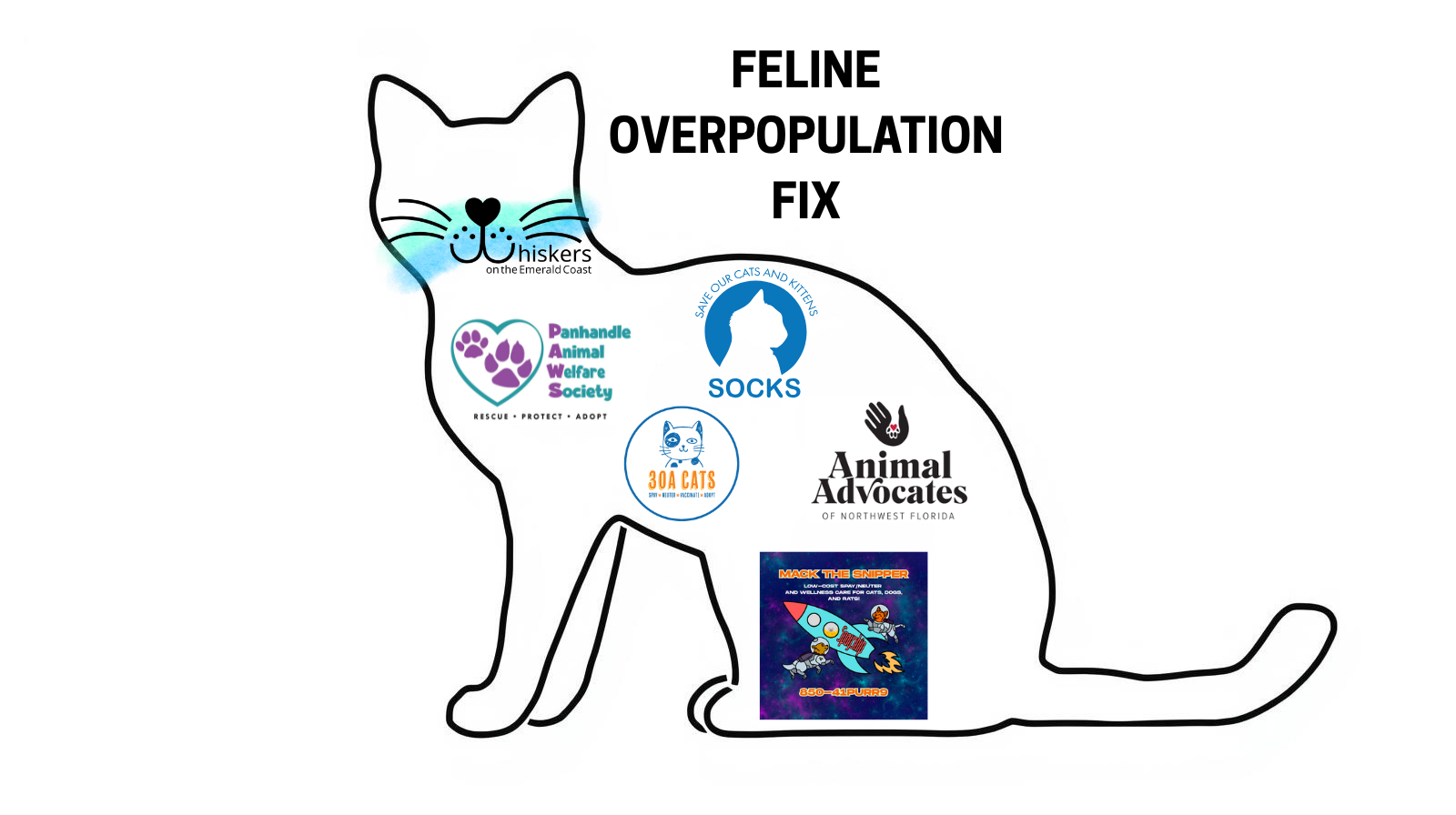 Help us launch targeted TNR in our area. Donate today to trap, neuter, and return cats in our highest-need neighborhoods. image