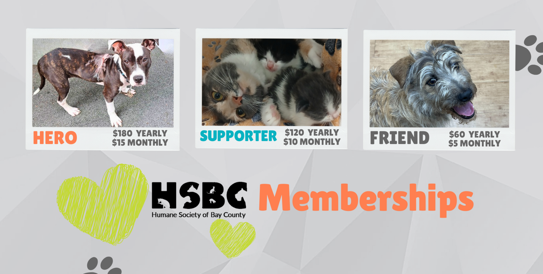 Become a member of the Humane Society of Bay County image
