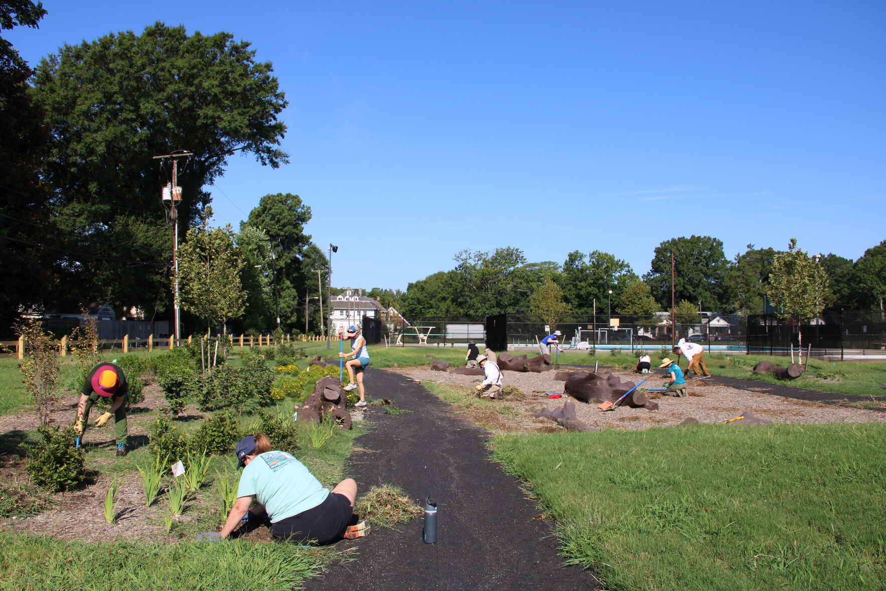 DONATE TO CAPITAL TREES image