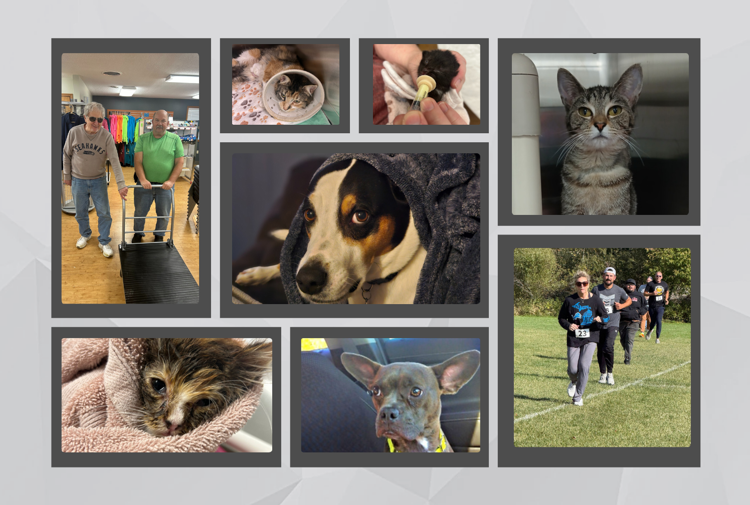 Sign up for a Business Membership Today! image