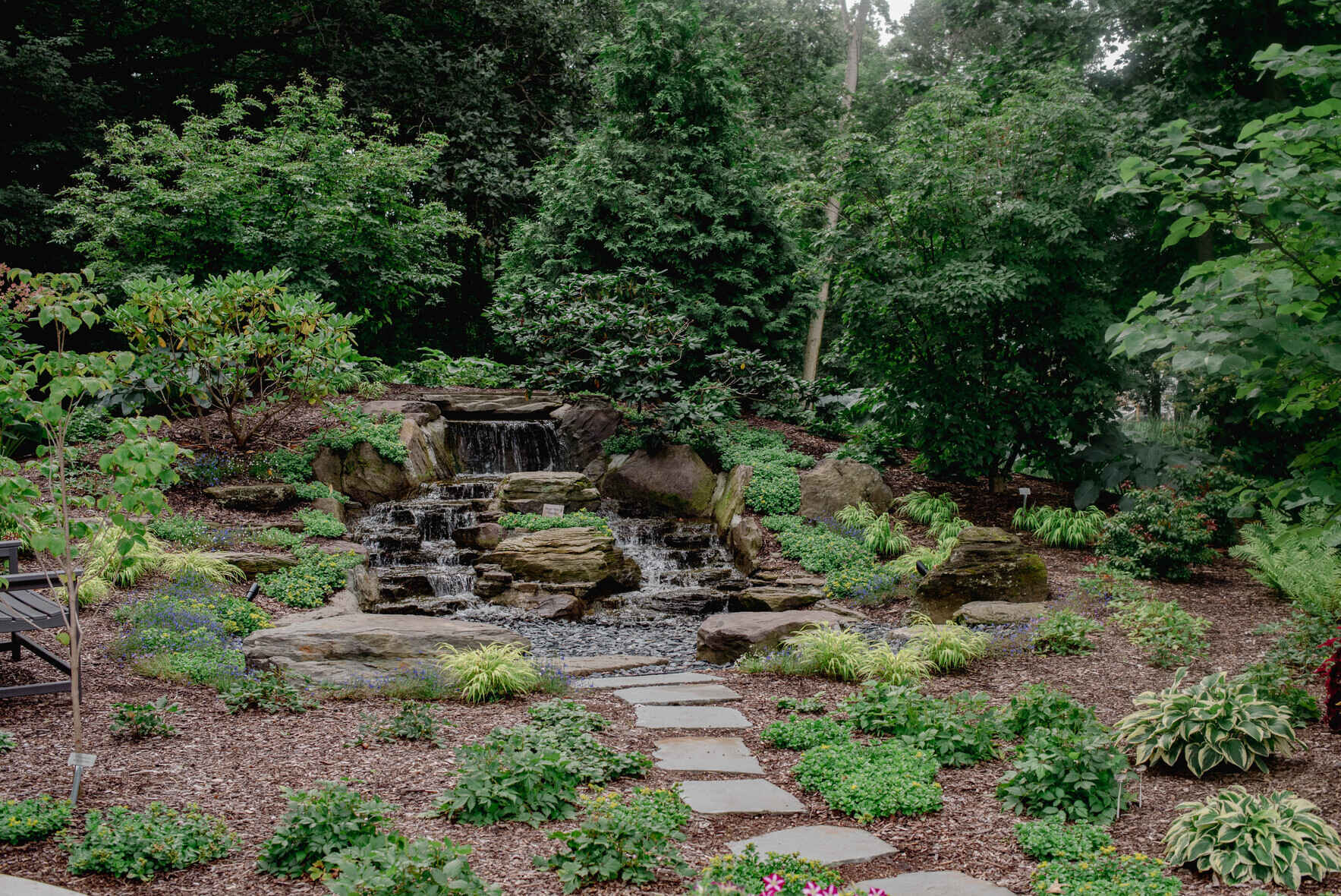 Help us create our Hope & Healing Gardens! image