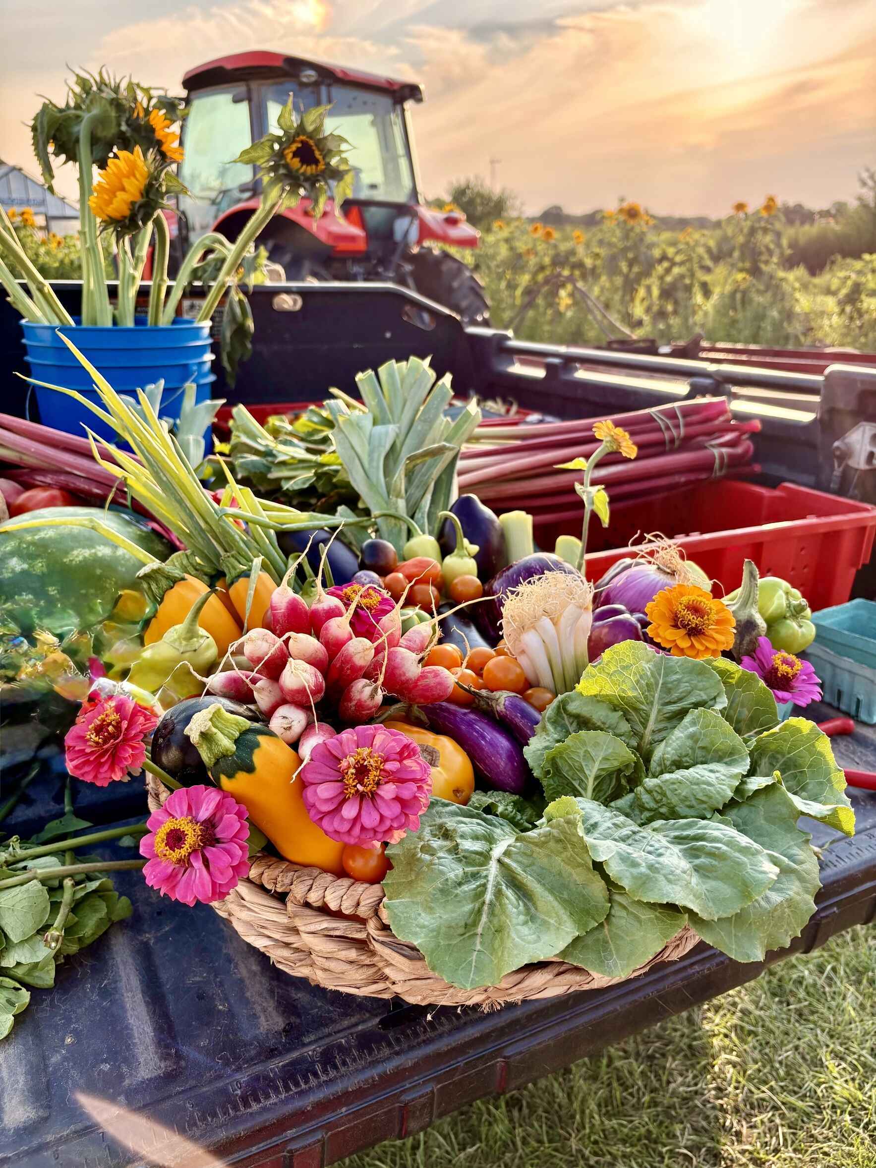 Donate Now to Help us Meet the Moment and Nourish the East End  image