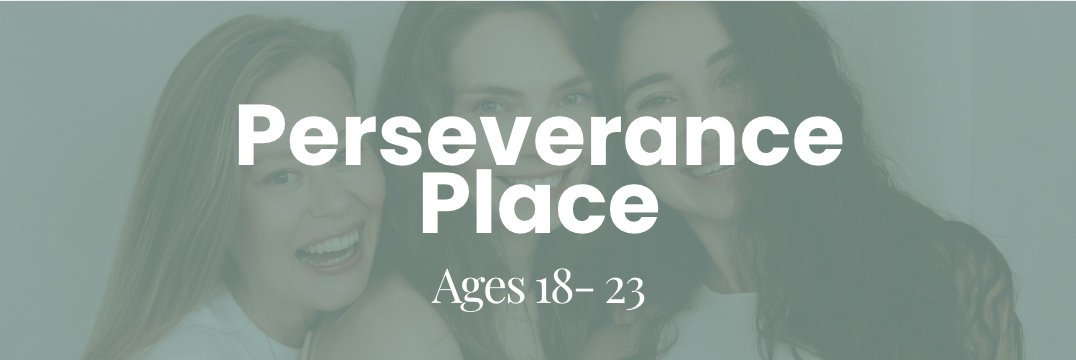 Join in Helping Young Women Persevere! image