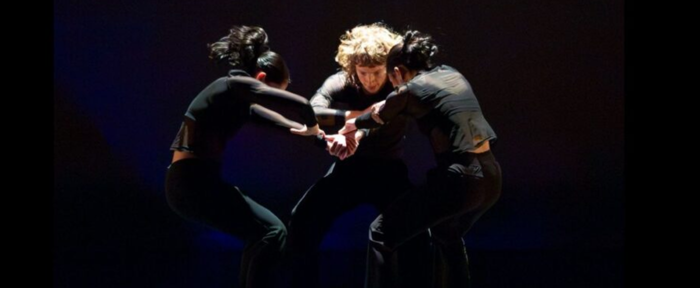 SUPPORT THE POWERFUL LEGACY OF HEDWIG DANCES - CELEBRATING 41 YEARS image