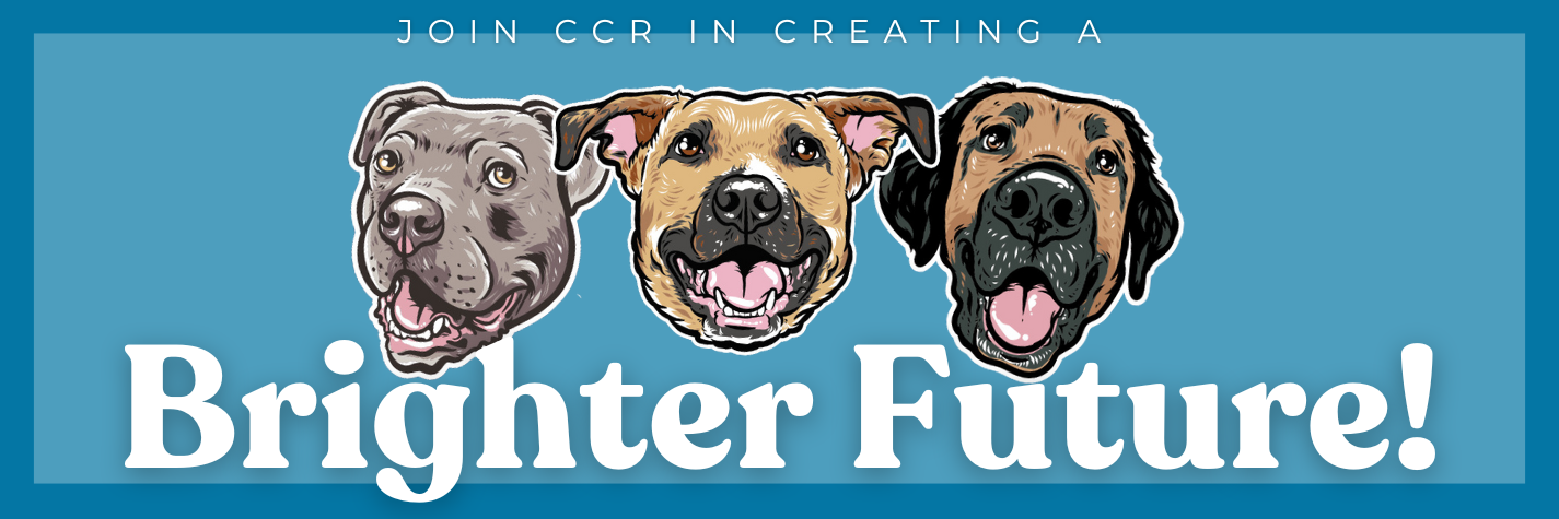Join CCR In Creating A Brighter Future! image