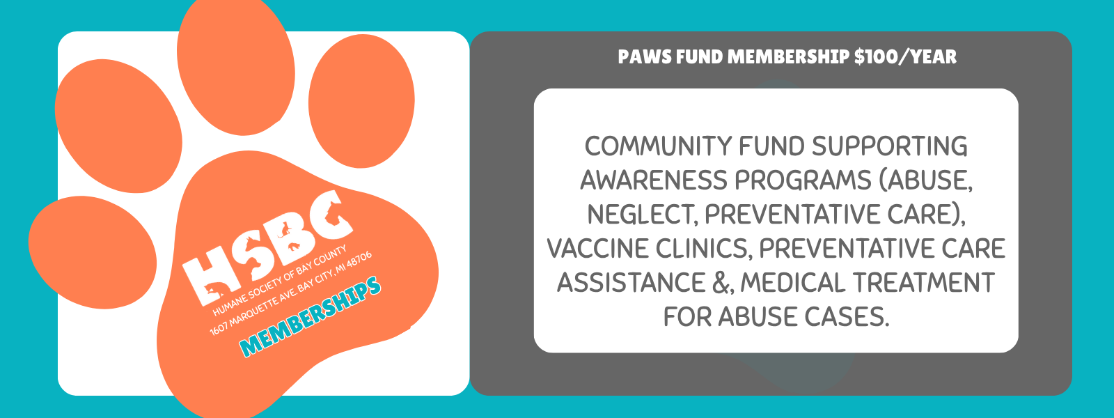 Paws Fund image