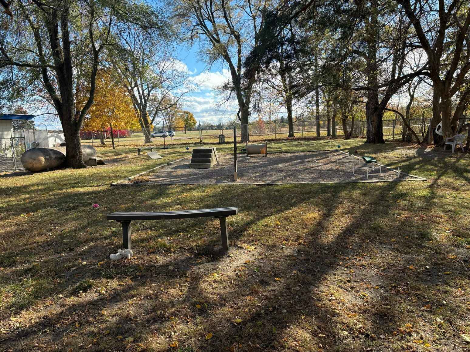 Help us buy new outdoor play equipment for the shelter dogs! image