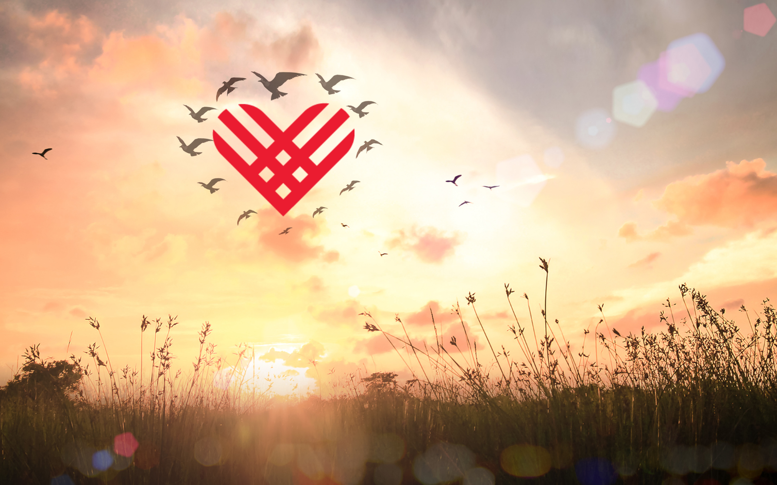 Invest in Compassion image