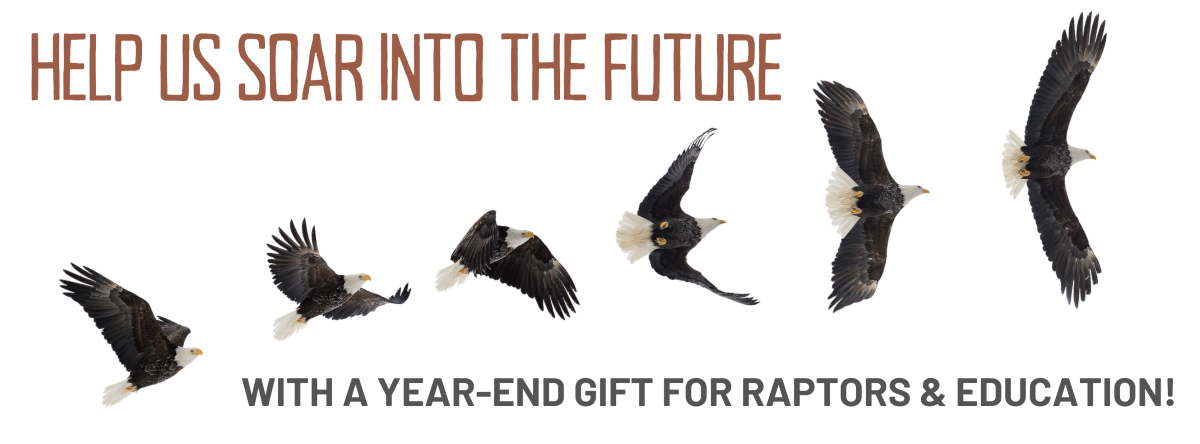 OJAI RAPTOR CENTER image