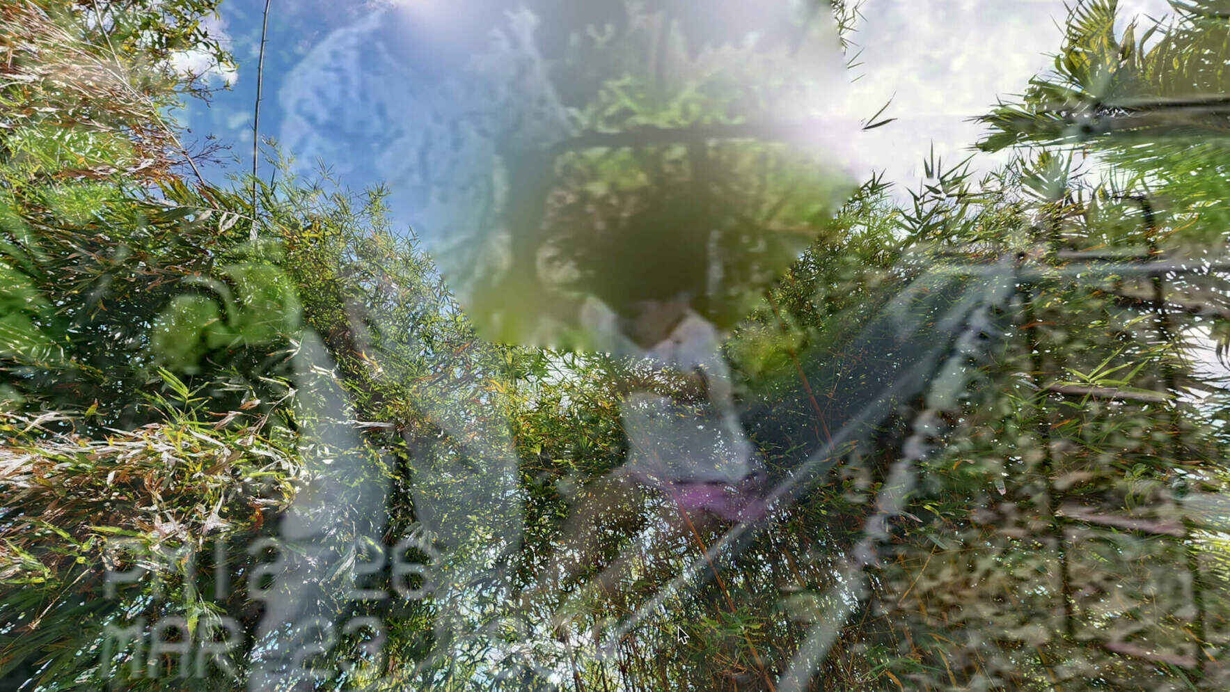 1511 image
