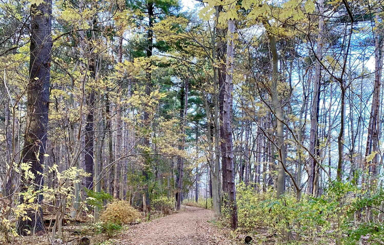 Give Today to Help Green Newton Build a Sustainable Future! image