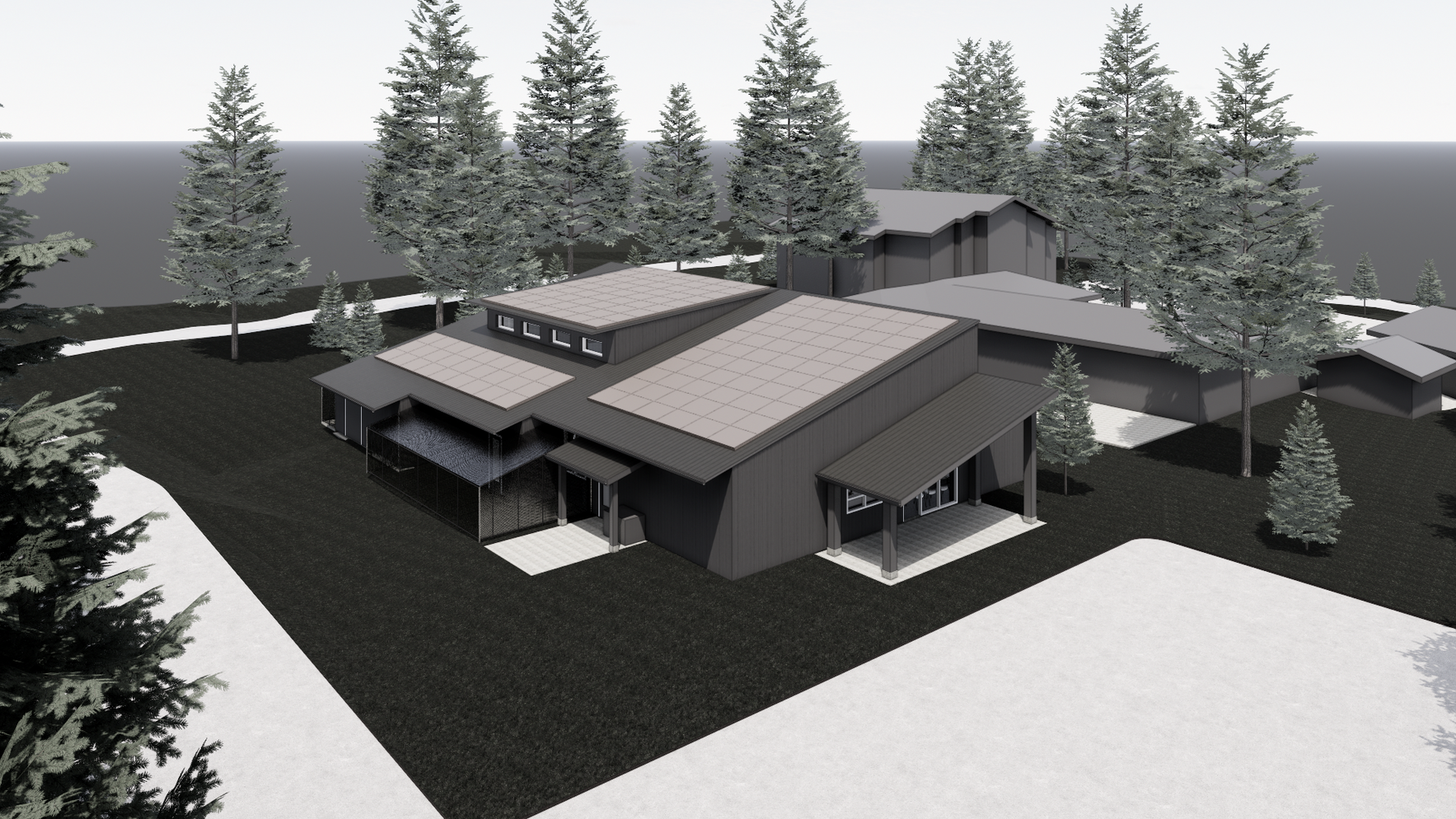 Caring for Cats:  Building our Future image