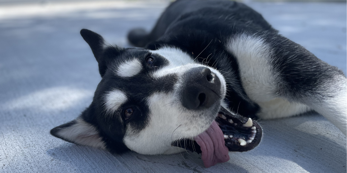 A Second Home for Us image