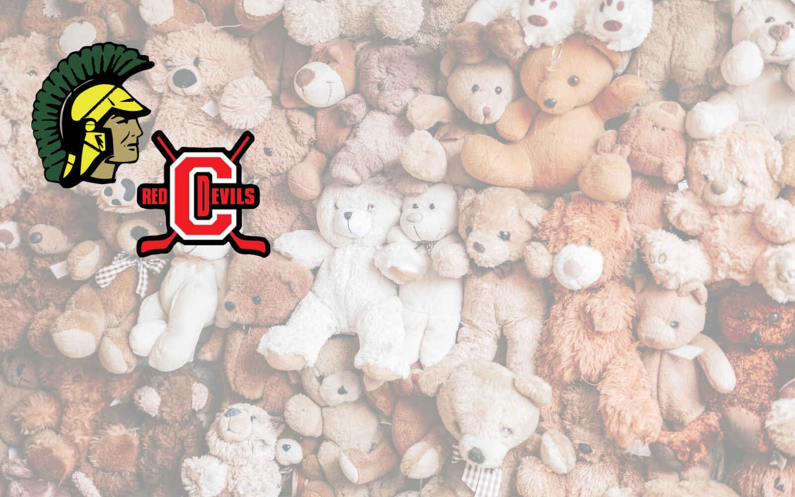 Help Local High School Hockey Support Crisis Services image