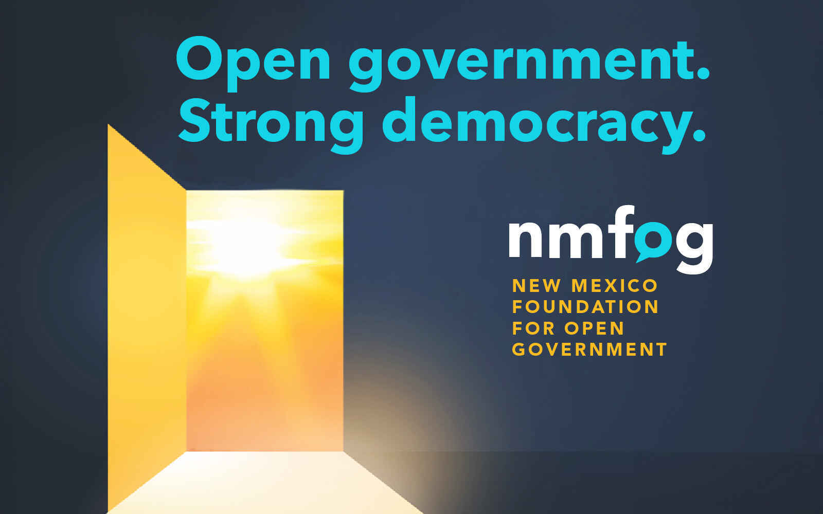 Serving the Public, Protecting Democracy image