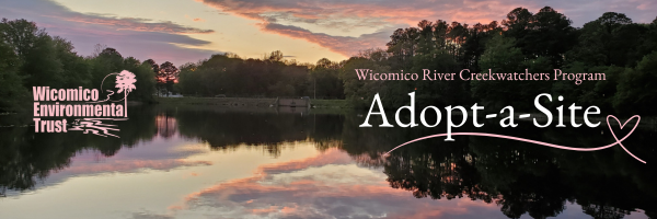 Give the Gift of Clean Water image