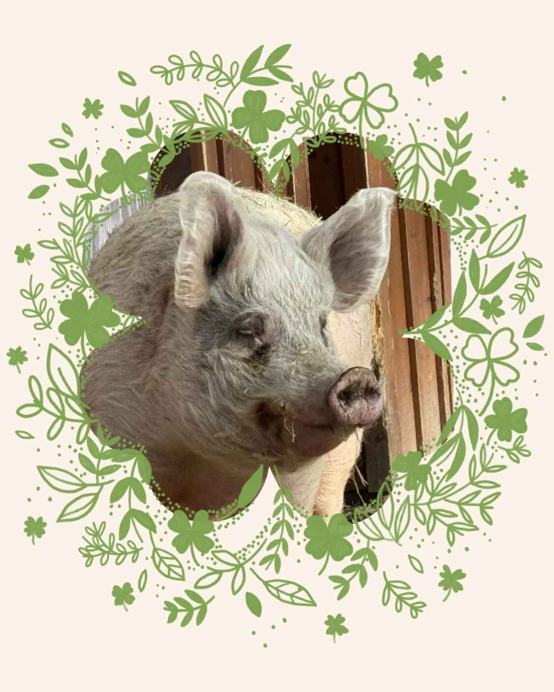 March is for Marsha and her friends. image