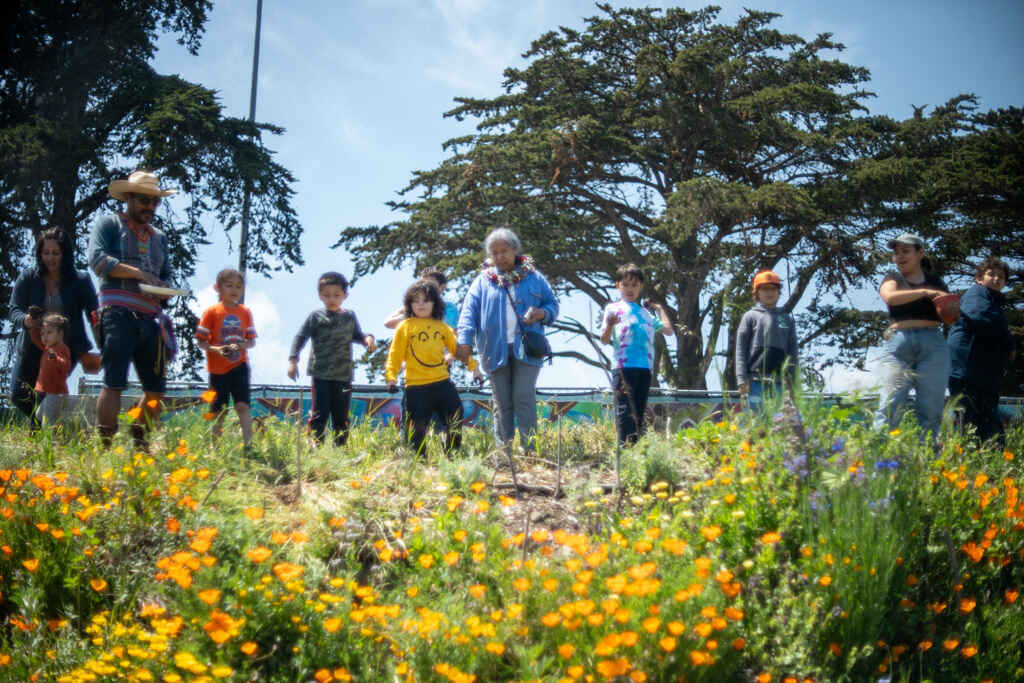 Spring into Action! image