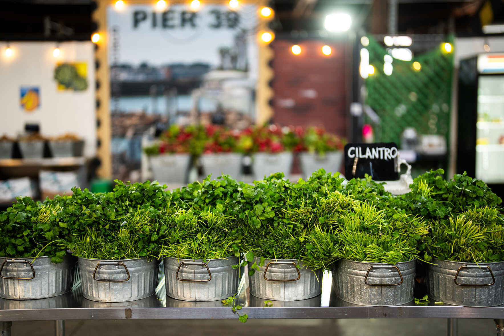 Nourish Hope This Spring—Donate to the Alameda Food Bank image