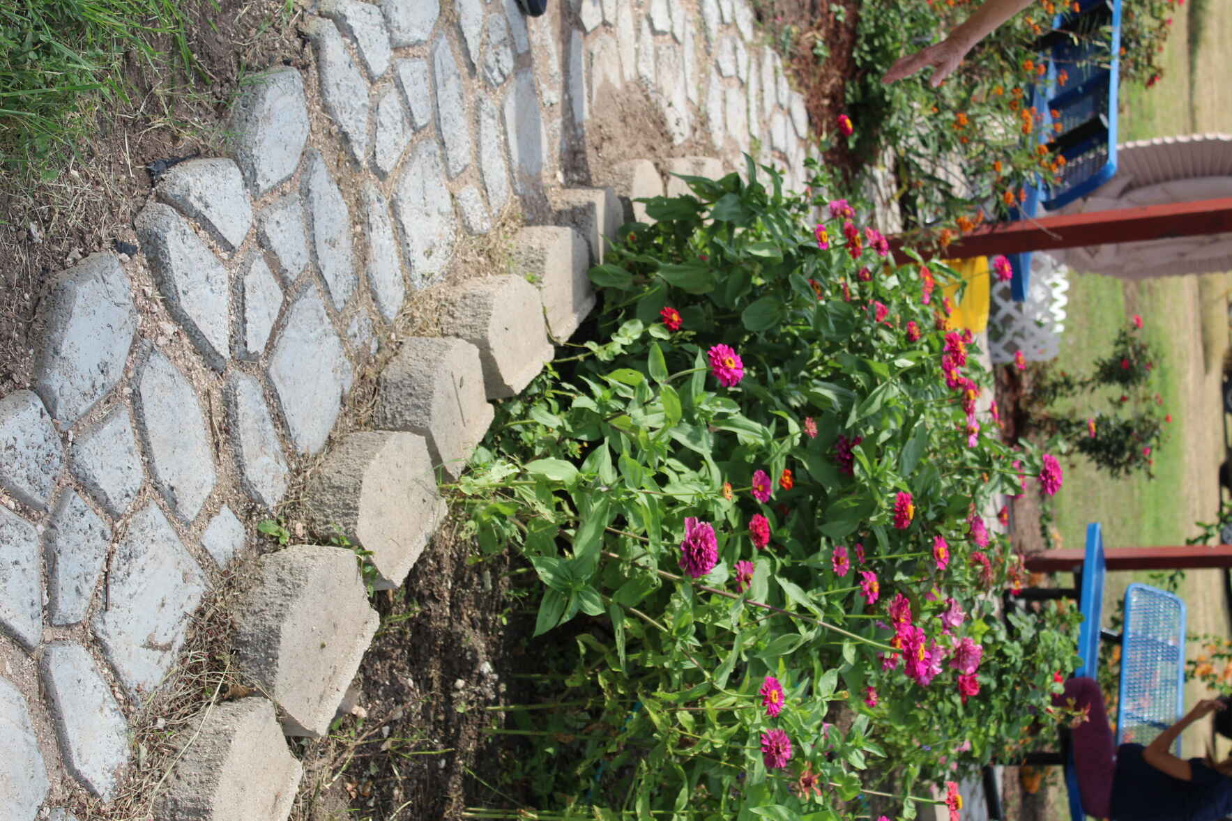 SPRINGing into Action! image