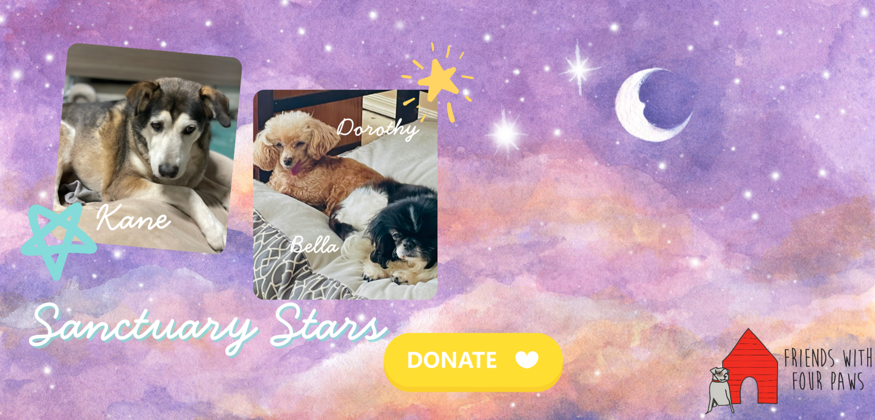 Donate now for Sanctuary Dogs image