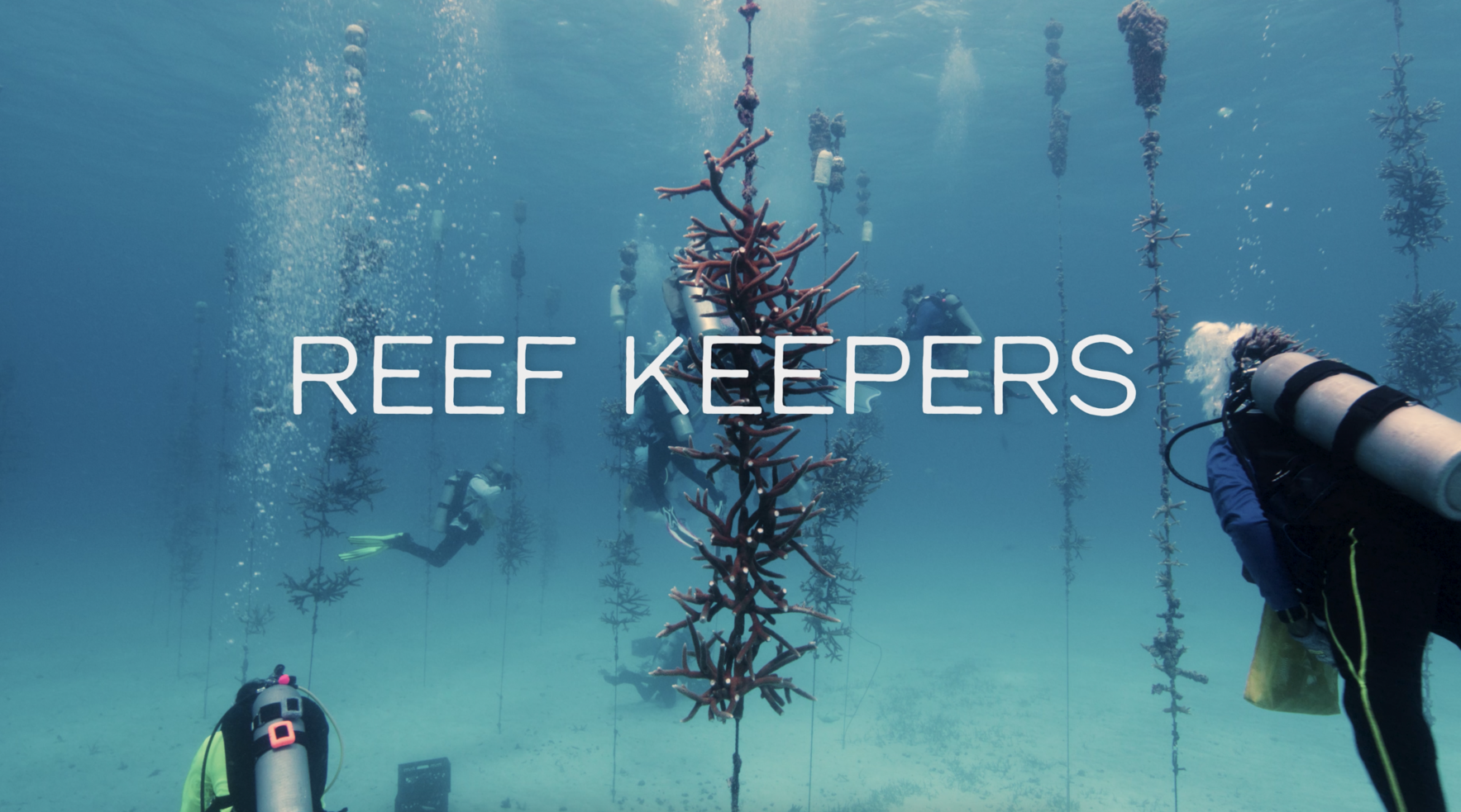 Reef Keepers image