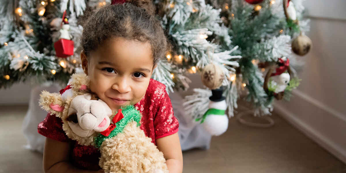 Holiday Toy Drive Sponsorships image