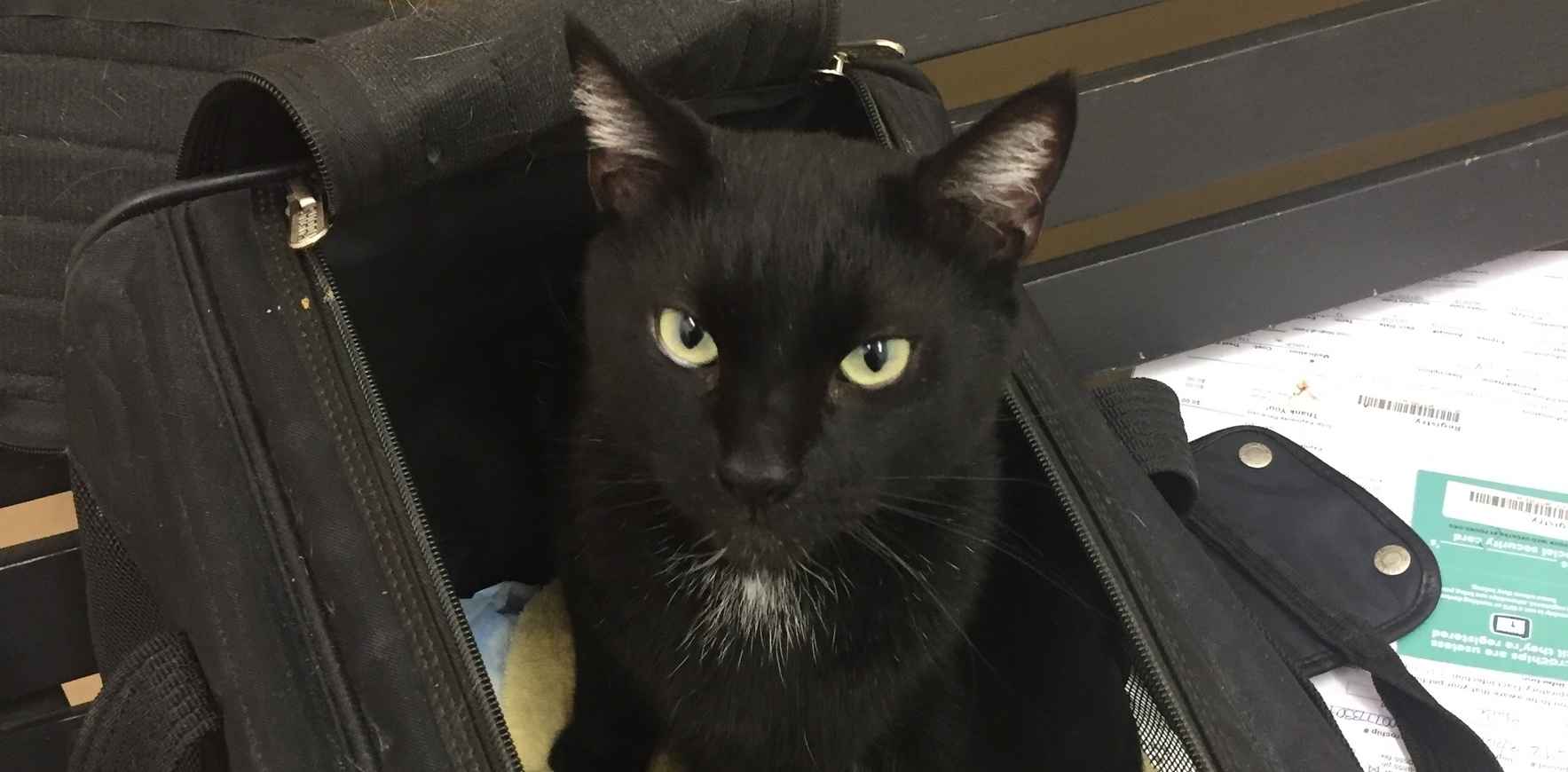 Help Billy Ray Get Orthpedic Surgery image