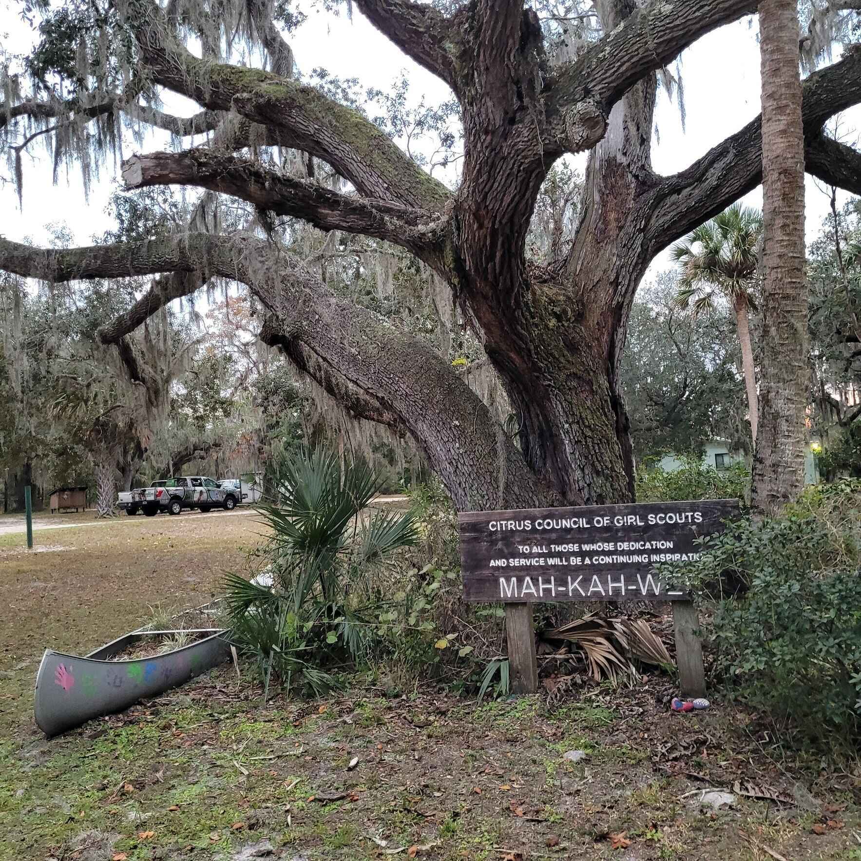 🌟 Calling All Camp Champions! 🌟 image