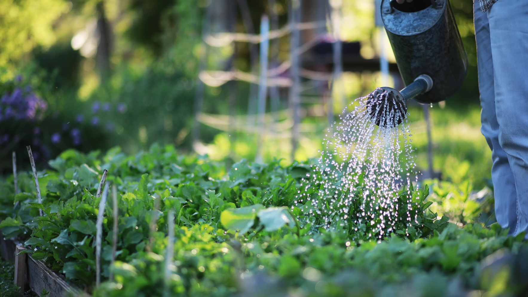 Need help in your garden? Get a Garden Helper! image