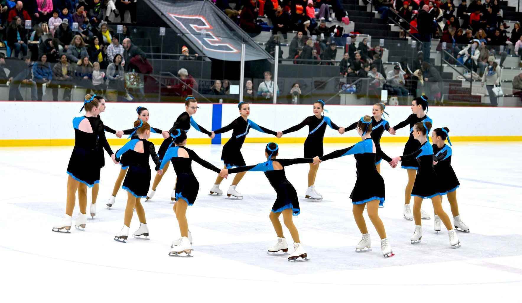 Heart of Illinois Skating Club Endowment Fund image